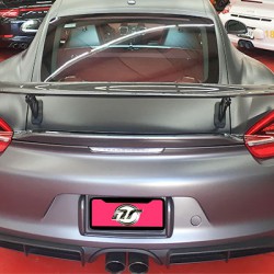 981-GT4-Wing-back